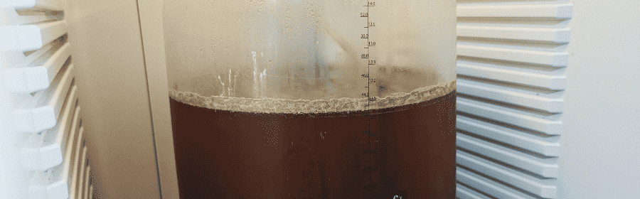 Home Brewing Beer Fermentation