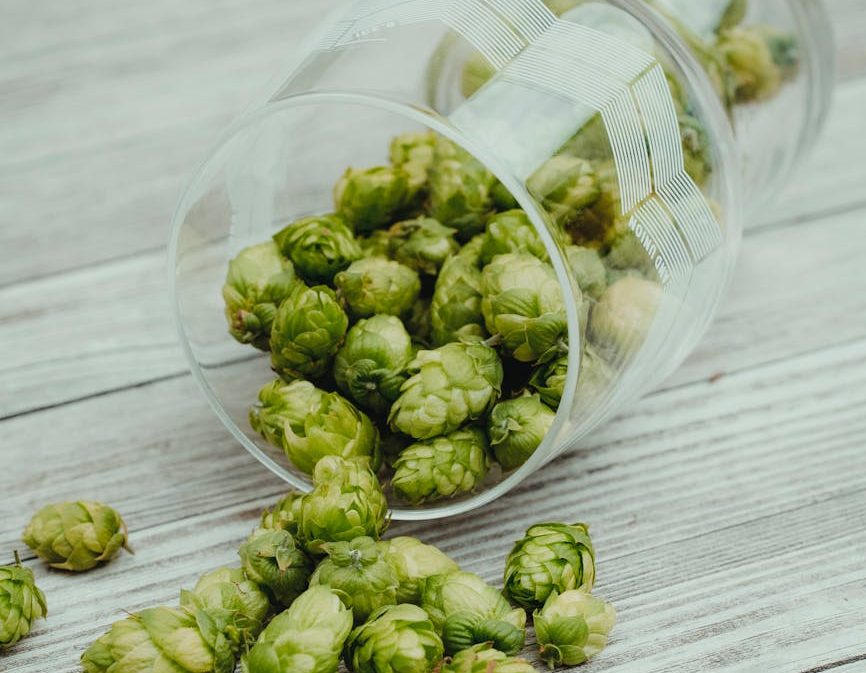 Hop Flavors in Homebrewing blog image