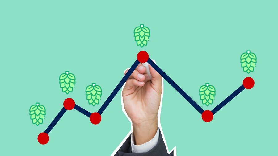 Hop Utilization in Homebrewing